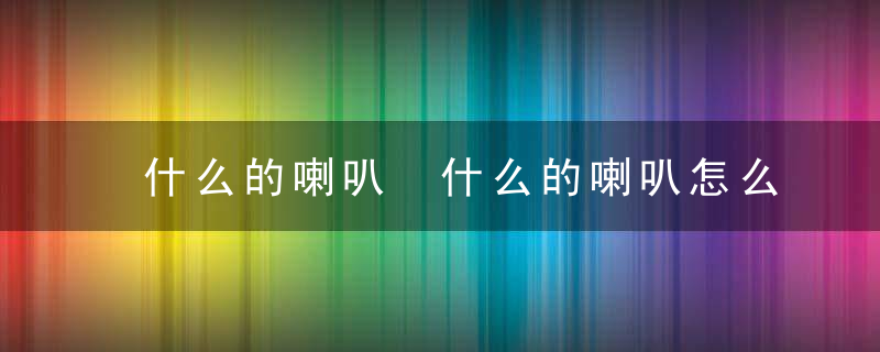 什么的喇叭 什么的喇叭怎么填写